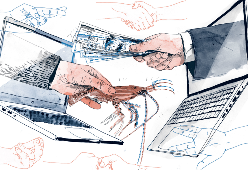 渔业数字化稳步推进,全球虾类市场电商交易需求大增(图2) 渔业数字化稳步推进,全球虾类市场电商交易需求大增(图2)