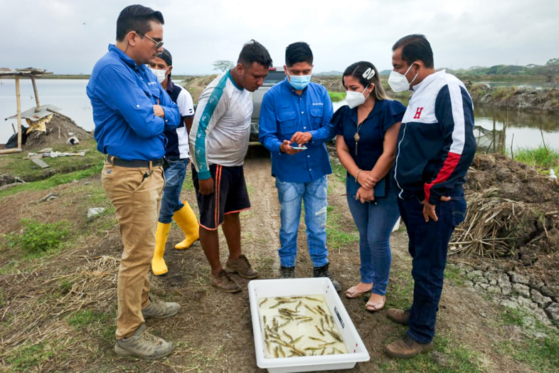 渔业数字化稳步推进,全球虾类市场电商交易需求大增(图4) 渔业数字化稳步推进,全球虾类市场电商交易需求大增(图4)