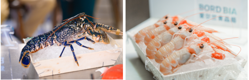 There will be more Irish seafood in China(图1) There will be more Irish seafood in China(图1)