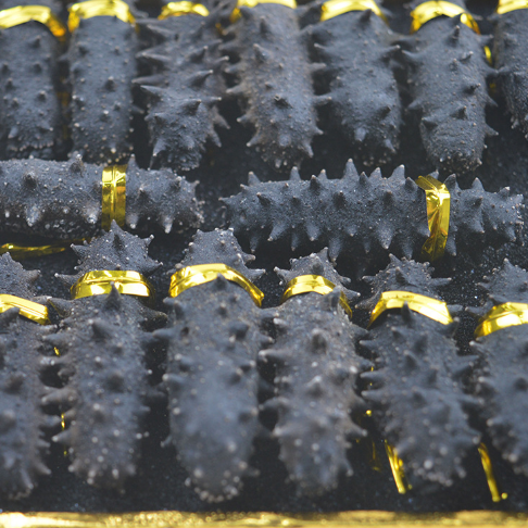 18馆联动,18万平米!上海渔博会规模升级,高端滋补馆人气火爆蓄势待发!(图26) 18馆联动,18万平米!上海渔博会规模升级,高端滋补馆人气火爆蓄势待发!(图26)