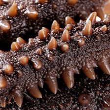 18馆联动,18万平米!上海渔博会规模升级,高端滋补馆人气火爆蓄势待发!(图36) 18馆联动,18万平米!上海渔博会规模升级,高端滋补馆人气火爆蓄势待发!(图36)