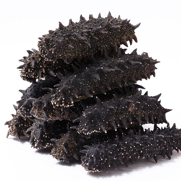 18馆联动,18万平米!上海渔博会规模升级,高端滋补馆人气火爆蓄势待发!(图105) 18馆联动,18万平米!上海渔博会规模升级,高端滋补馆人气火爆蓄势待发!(图105)