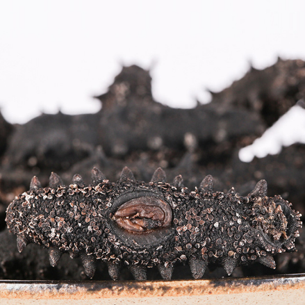 18馆联动,18万平米!上海渔博会规模升级,高端滋补馆人气火爆蓄势待发!(图79) 18馆联动,18万平米!上海渔博会规模升级,高端滋补馆人气火爆蓄势待发!(图79)