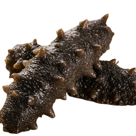 18馆联动,18万平米!上海渔博会规模升级,高端滋补馆人气火爆蓄势待发!(图81) 18馆联动,18万平米!上海渔博会规模升级,高端滋补馆人气火爆蓄势待发!(图81)