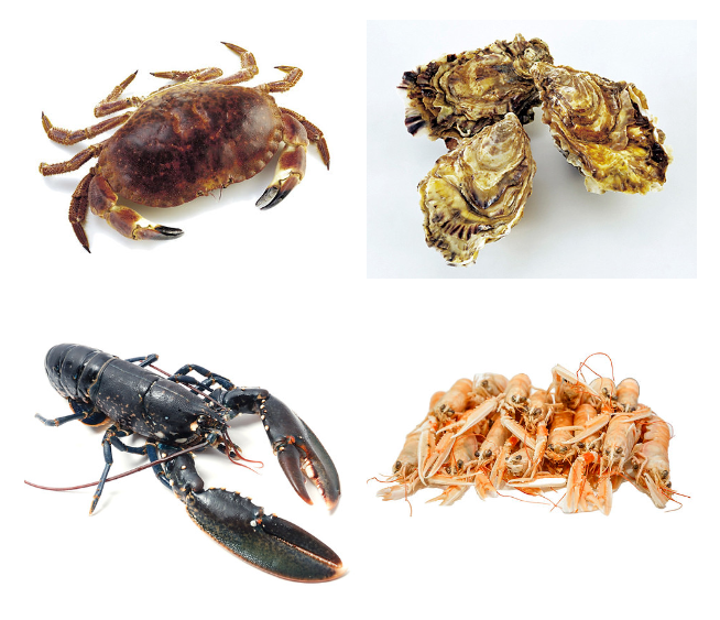 The Emerald Isle, respecting nature -- Bord Bia takes the lead in showcasing natural, delicious, hig(图3) The Emerald Isle, respecting nature -- Bord Bia takes the lead in showcasing natural, delicious, hig(图3)