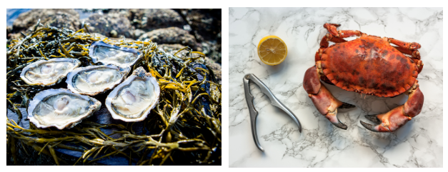 The Emerald Isle, respecting nature -- Bord Bia takes the lead in showcasing natural, delicious, hig(图5) The Emerald Isle, respecting nature -- Bord Bia takes the lead in showcasing natural, delicious, hig(图5)