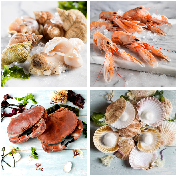 The Emerald Isle, respecting nature -- Bord Bia takes the lead in showcasing natural, delicious, hig(图7) The Emerald Isle, respecting nature -- Bord Bia takes the lead in showcasing natural, delicious, hig(图7)