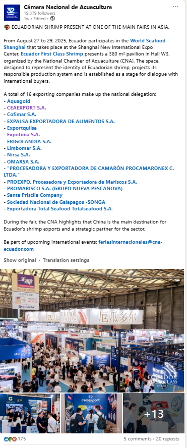 海外商机 引力全球 | 上海成为全球水产商机的“引力场”(图22) 海外商机 引力全球 | 上海成为全球水产商机的“引力场”(图22)