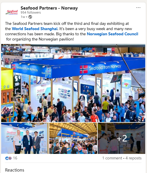 海外商机 引力全球 | 上海成为全球水产商机的“引力场”(图29) 海外商机 引力全球 | 上海成为全球水产商机的“引力场”(图29)